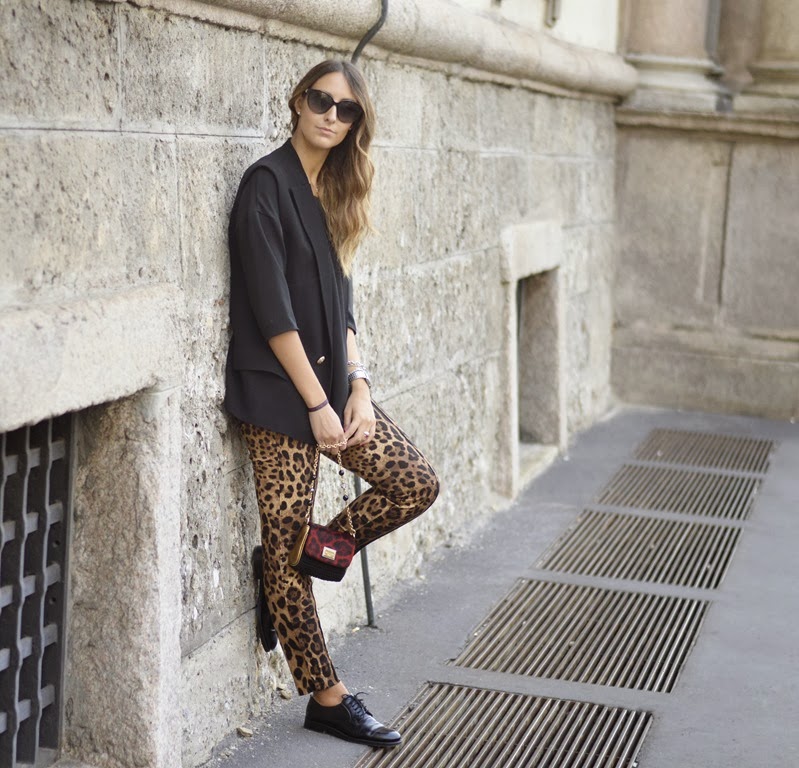 [_DSC0713---Copia5.jpg]