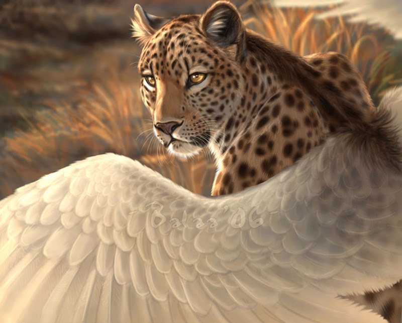 Flying Jaguar, Mystery