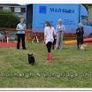Pet Dogs 023.jpg