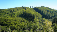 P1110966.JPG