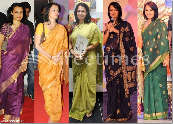 Amala_Designer_Saree(2)