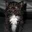 DSCN7726.jpg
