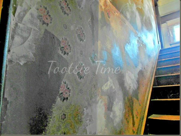 BeFunky_001.jpg BeFunky_001.jpg