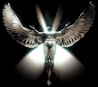 Amazing Angel Lady