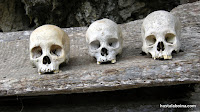La cantidad de calaveras tiradas por el suelo, motivan a colocarlas en composiciones sugerentes.