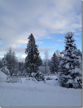 snow break