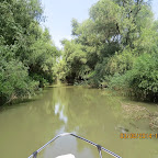 IMG_5775.JPG