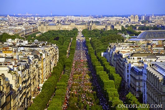 Выставка_Nature_Capitale_на_Елисейских_полях Выставка_Nature_Capitale_на_Елисейских_полях