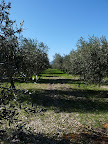 P1000807.JPG