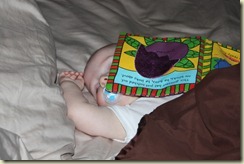 IMG_2004 IMG_2004