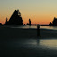 Shi-Shi Beach, WA 8