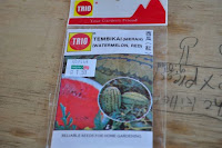 pinoyecofarm december _0135.JPG