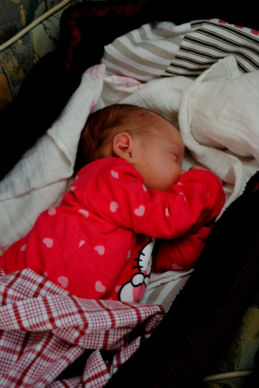 [Lisas%2520f%25C3%25B6rsta%2520b%25C3%25A5ttur%25201.8.%25202011%2520142%255B4%255D.jpg]