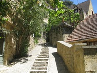 IMG_3922 IMG_3922