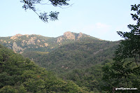 IMG_1248.JPG Photo