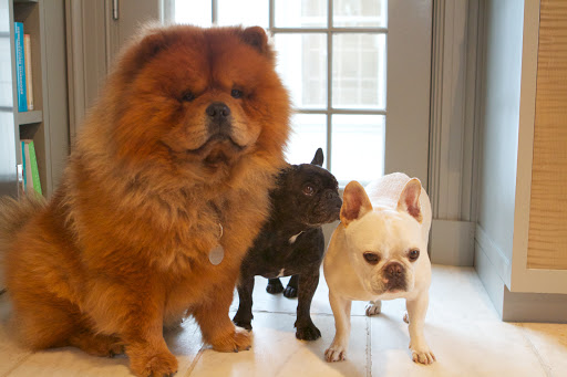 Martha also gave us a really great pal when G.K. came to live with us.