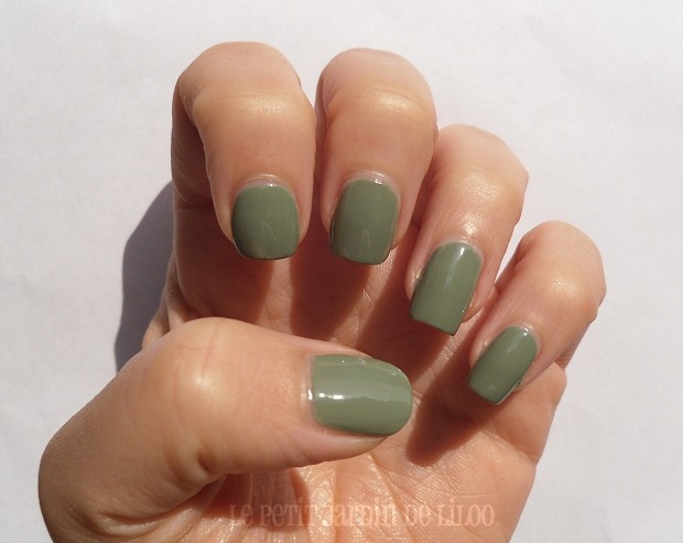 [003-accessorize-nail-polish-wyoming-notd-review-swatch%255B4%255D.jpg]