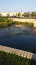 Duck Pond Fountain 