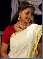 nandagi in kerala saree