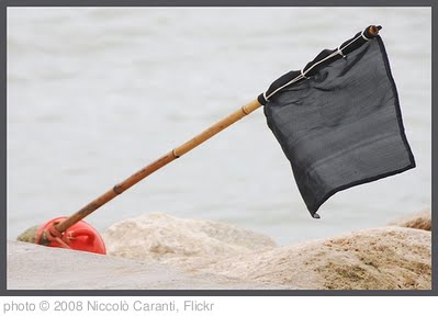 'Black flag' photo (c) 2008, Niccolò Caranti - license: http://creativecommons.org/licenses/by-sa/2.0/