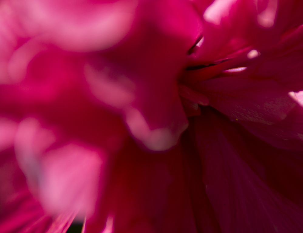 [20111022-NC%2520Zoo-200%255B5%255D.jpg]