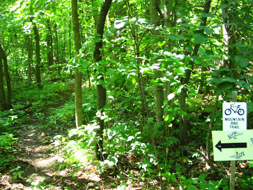 Start of Twin lakes singletrack.