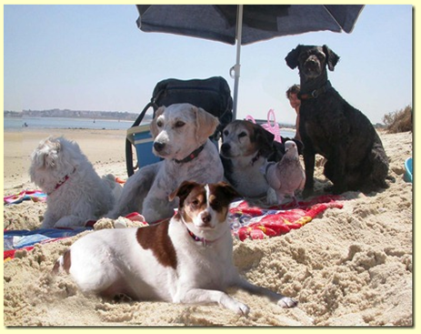 [image%255B20%255D.png]