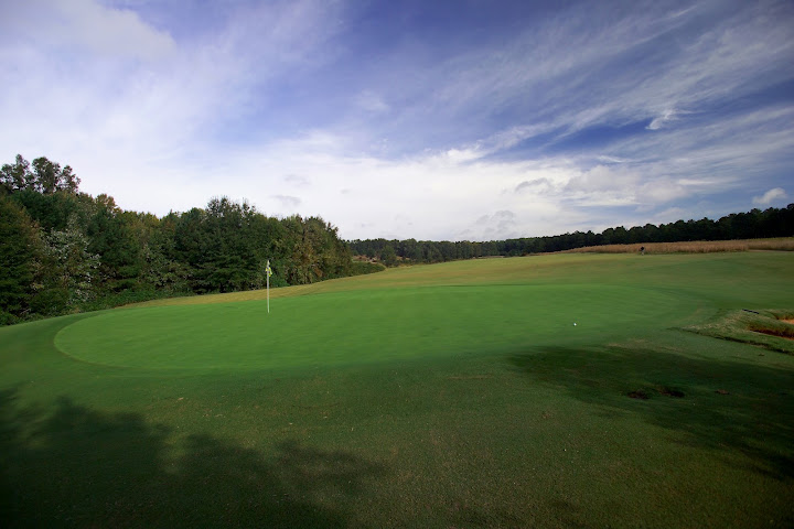 Cuscowilla_4_green.jpg