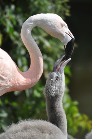 [DSC_0737%255B4%255D.jpg]