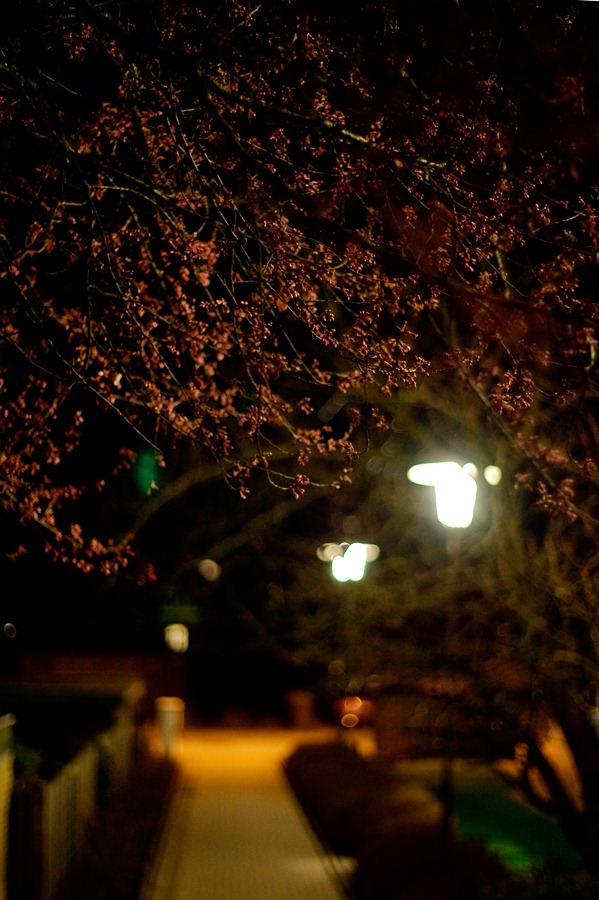 [DSC_9643%255B2%255D.jpg]