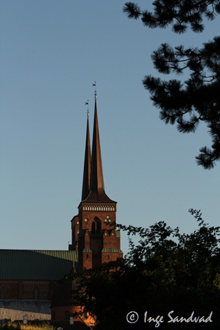 [IMG_2945%255B4%255D.jpg]