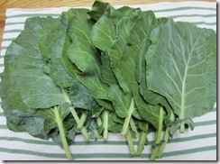 Collard harvest 31 Jul 2011