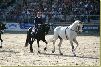 IMG_1830 IMG_1830