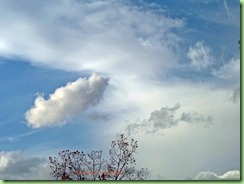 sky101_0010