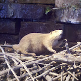 2011-01-10_09-23-53_384.jpg