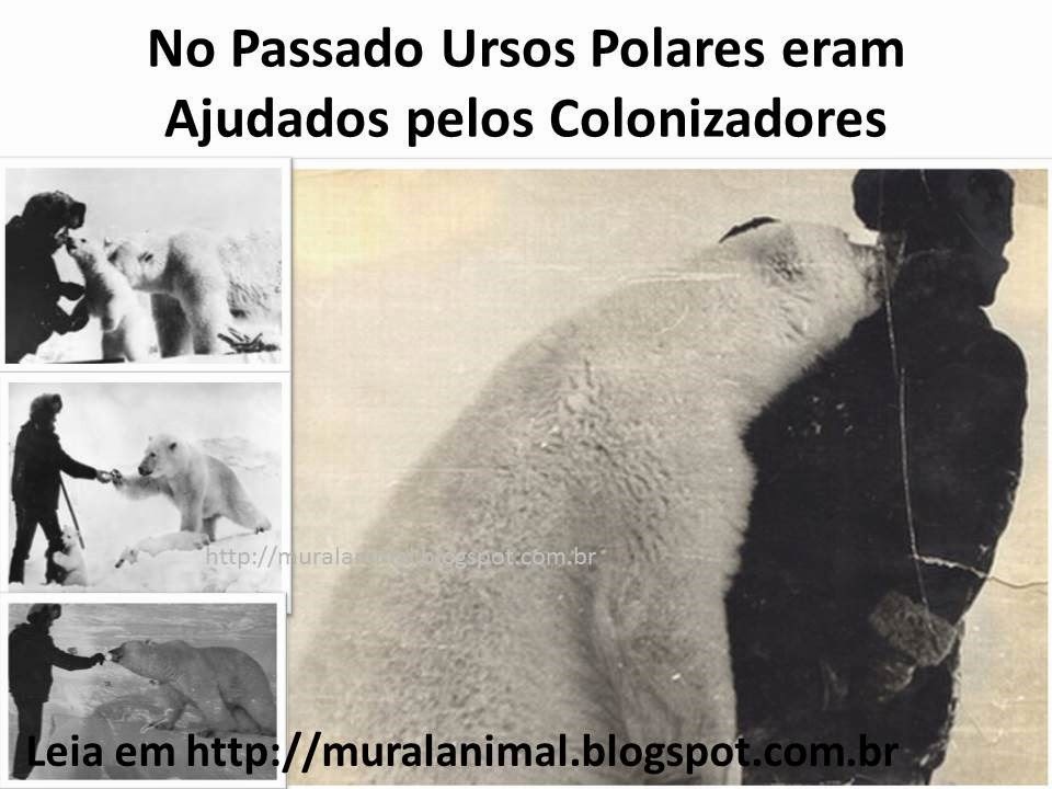 [Slide3%255B3%255D.jpg]