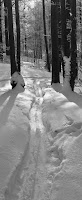 IMG_7429.jpg Photo