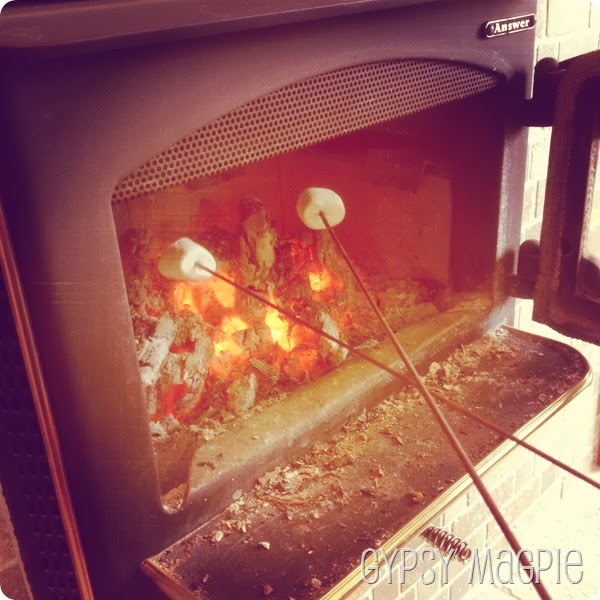 Toasty Gypsy Magpie