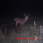 ICAM0006.JPG