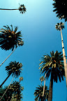 Sprachaufenthalt Los Angeles
