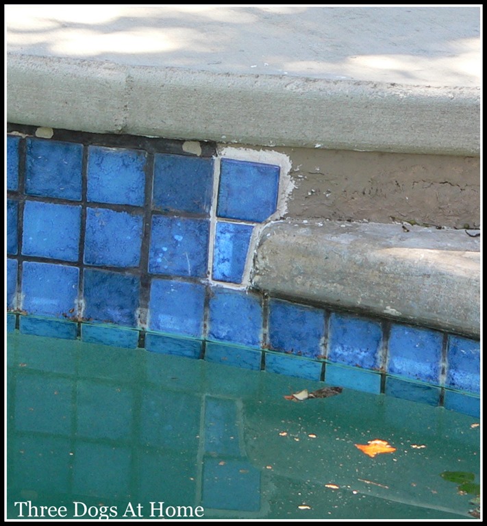 [pool%2520fix7.jpg]