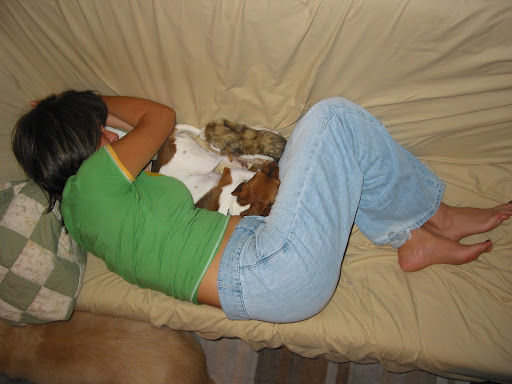 While human sleep cycles seem to be longer than dog ones, both humans and their canine counterparts dream during REM sleep. While human sleep cycles seem to be longer than dog ones, both humans and their canine counterparts dream during REM sleep.