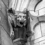 20100404_147.JPG