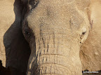 Manyara Nationalpark