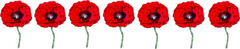 [poppies%255B3%255D.png]