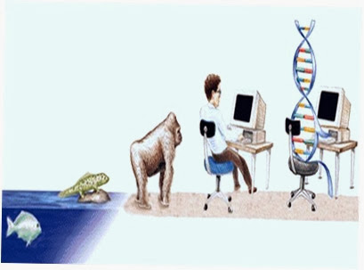 GENETICS1 GENETICS1