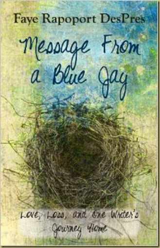 Message from a Blue Jay cover Message from a Blue Jay cover
