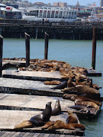 DSC05667.JPG
