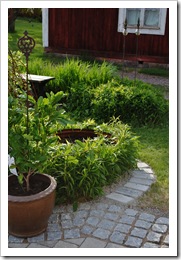 tr&auml;dg&aring;rden 21-5-11 117