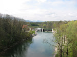 IMG_5495.JPG